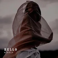 Ziggan — Hello — обложка